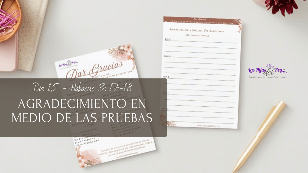 Día 15 – Reto de Lectura Bíblica «Dar&nbsp;Gracias»
